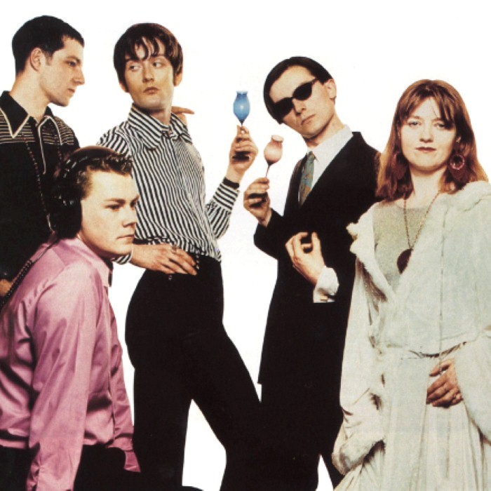 Pulp