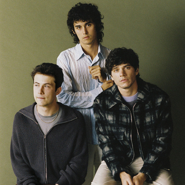 Wallows