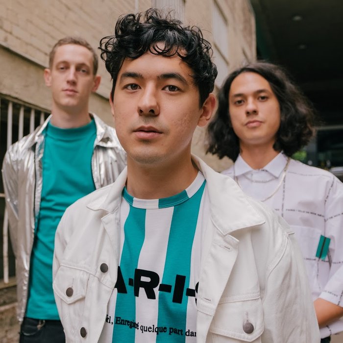 Last Dinosaurs
