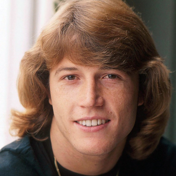 Andy Gibb