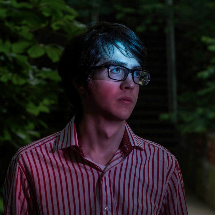Car Seat Headrest