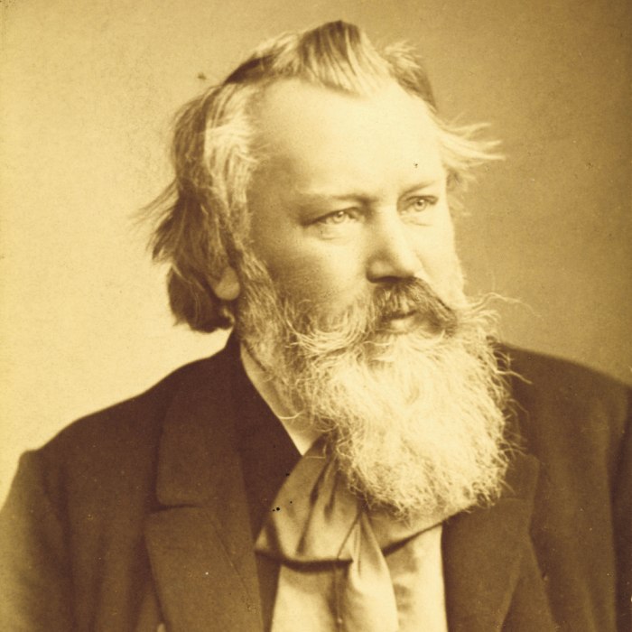 Johannes Brahms