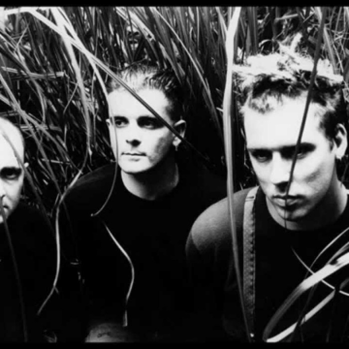 The Wolfgang Press