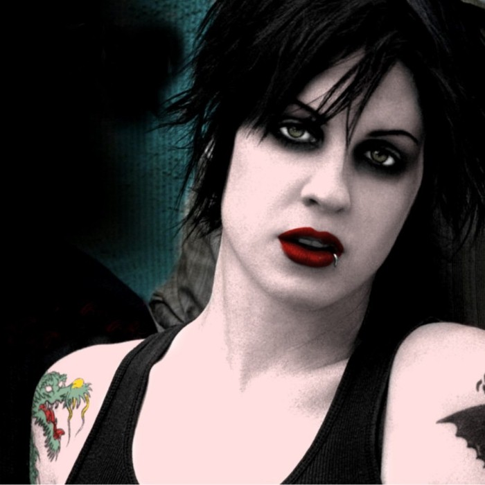 The Distillers
