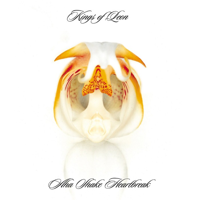 Album cover for Aha Shake Heartbreak - Kings of Leon