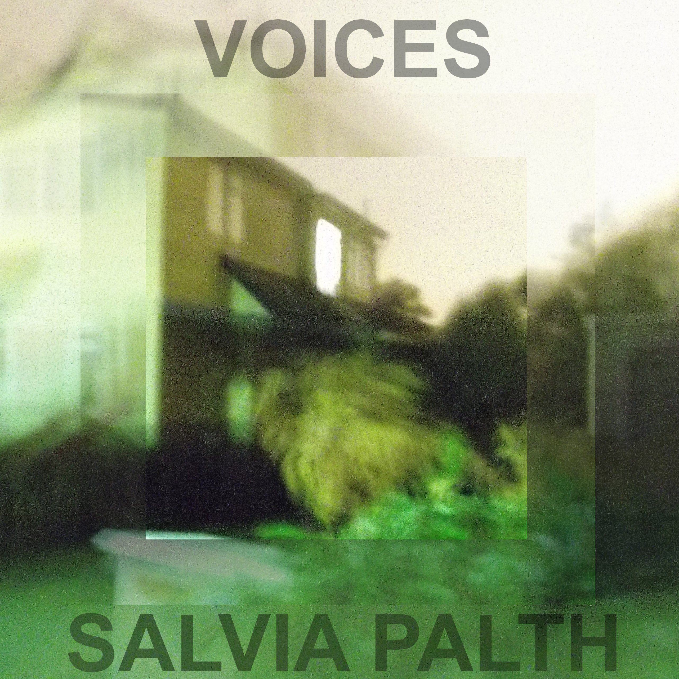 voices