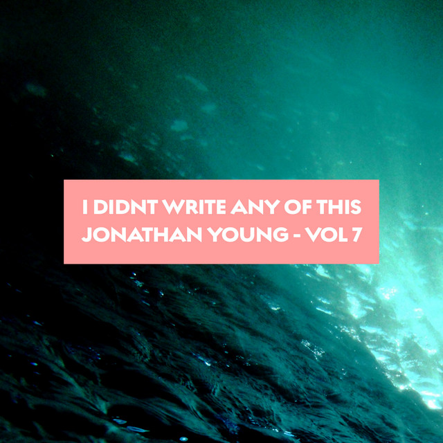 I Didn't Write Any of This (Vol. 7)