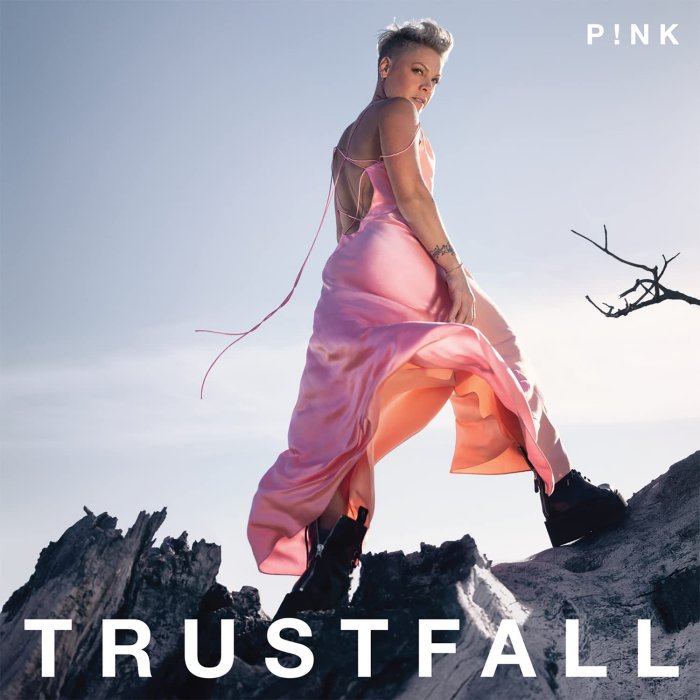 Album cover for TRUSTFALL - P!nk