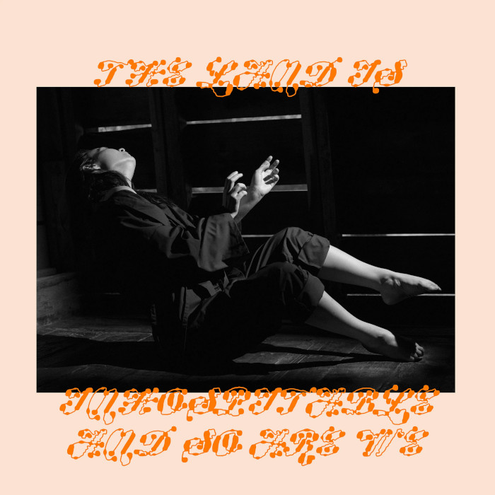 Album cover for The Land Is Inhospitable and So Are We - Mitski