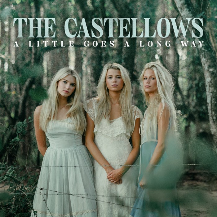 Album cover for A Little Goes A Long Way - The Castellows