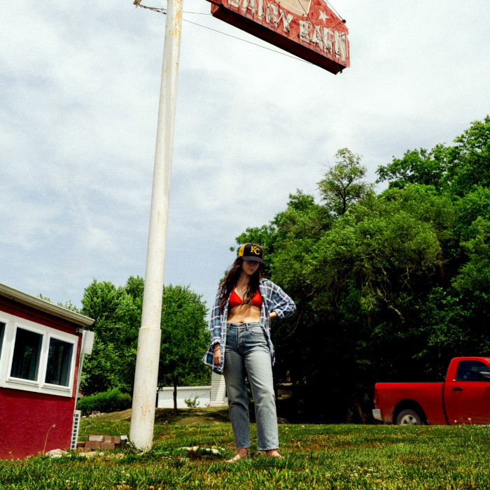 Album cover for Tigers Blood - Waxahatchee