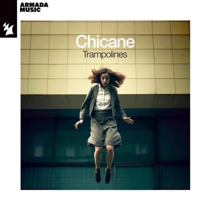 Album cover for Trampolines - Chicane
