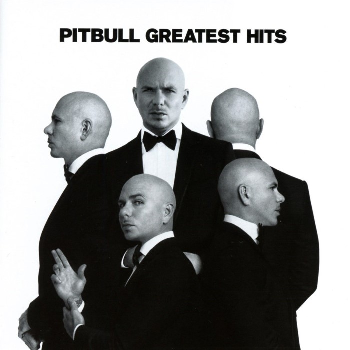 Album cover for Greatest Hits - Pitbull