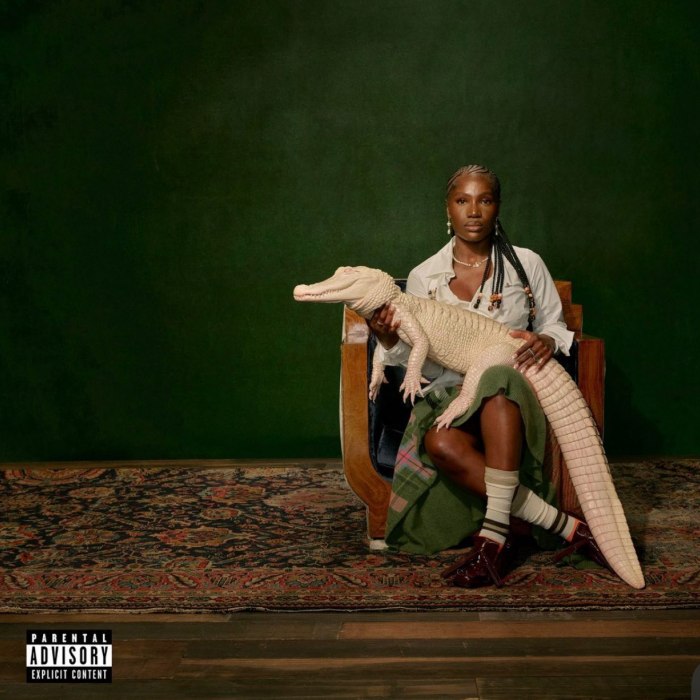 Album cover for Alligator Bites Never Heal - Doechii