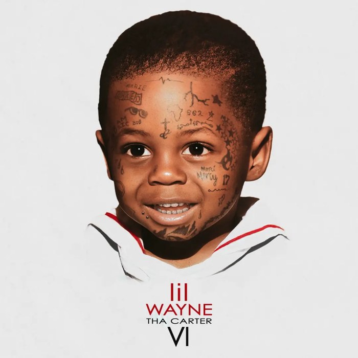 Album cover for Tha Carter VI - Lil Wayne