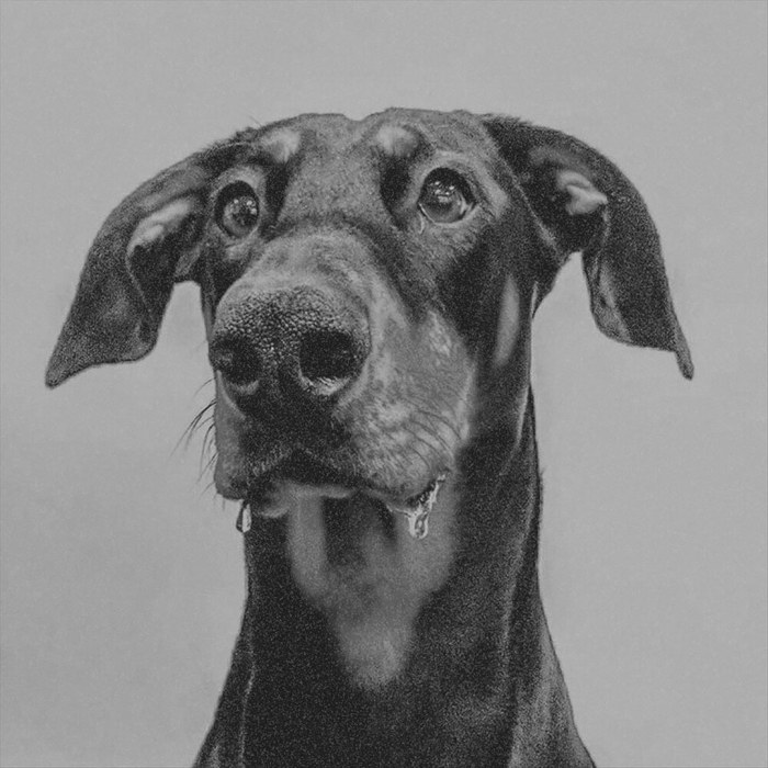 Album cover for Postindustrial Hometown Blues - Big Special