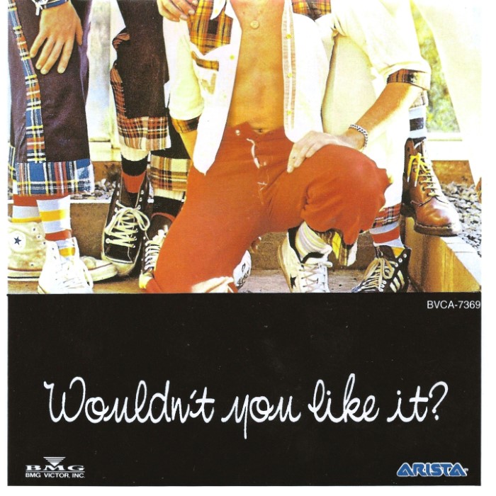 Album cover for Wouldn't You Like It - Bay City Rollers