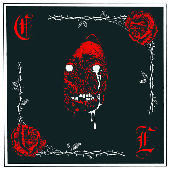 Album cover for A Patient Man - Cult Leader