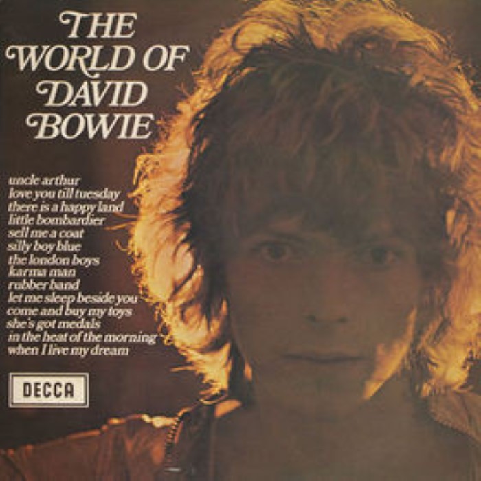 Album cover for Cover Shot - David Essex