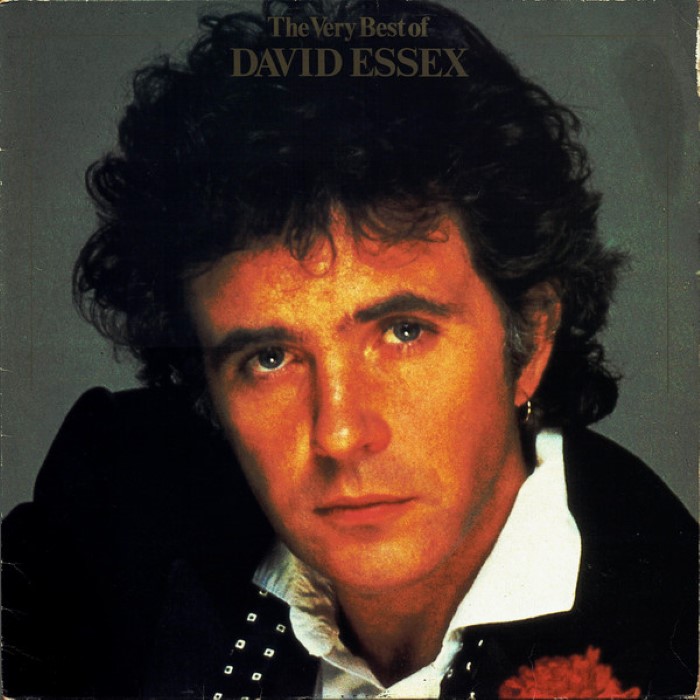 Album cover for Hot Love - David Essex