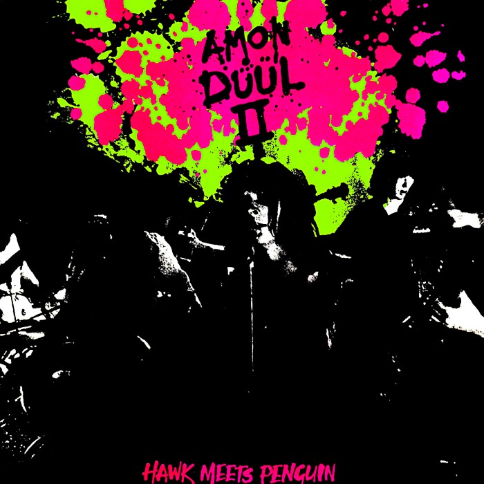 Album cover for Hawk Meets Penguin - Amon Düül II