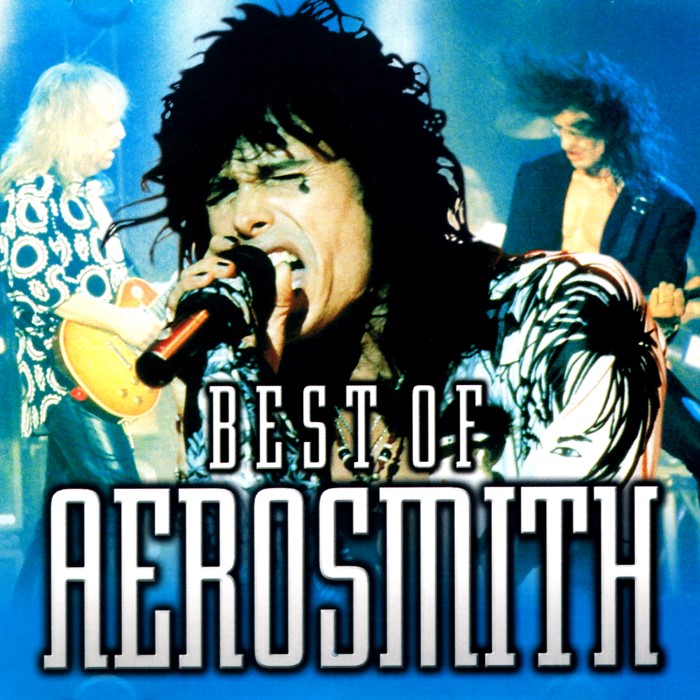 The Best of Aerosmith: The Millennium Collection