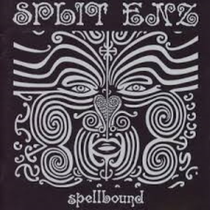 The Very Best of Split Enz