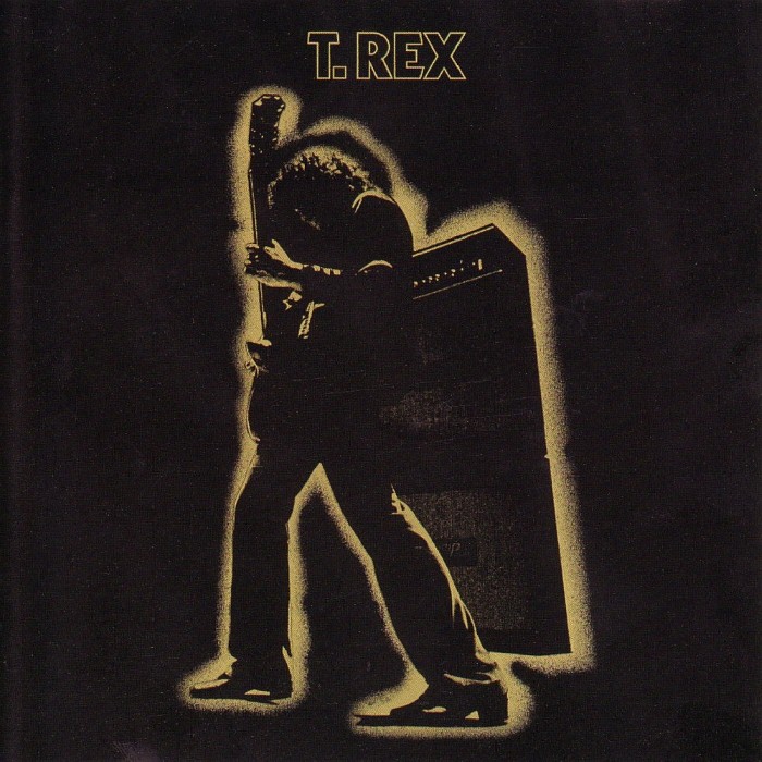 Electric Warrior