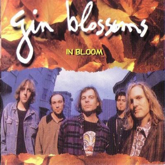 In Bloom