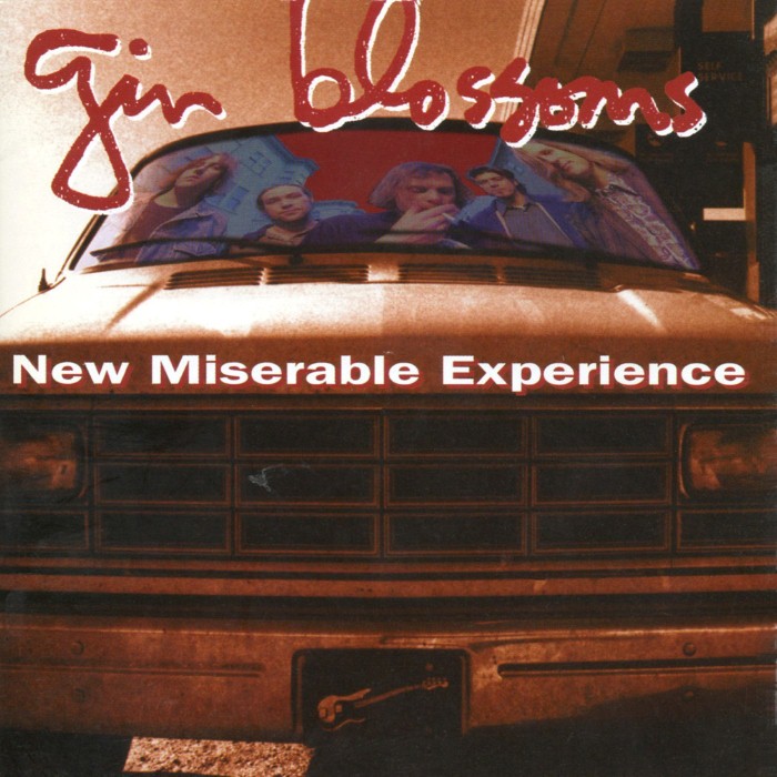 New Miserable Experience