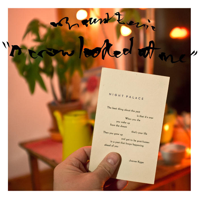 A Crow Looked at Me by Mount Eerie