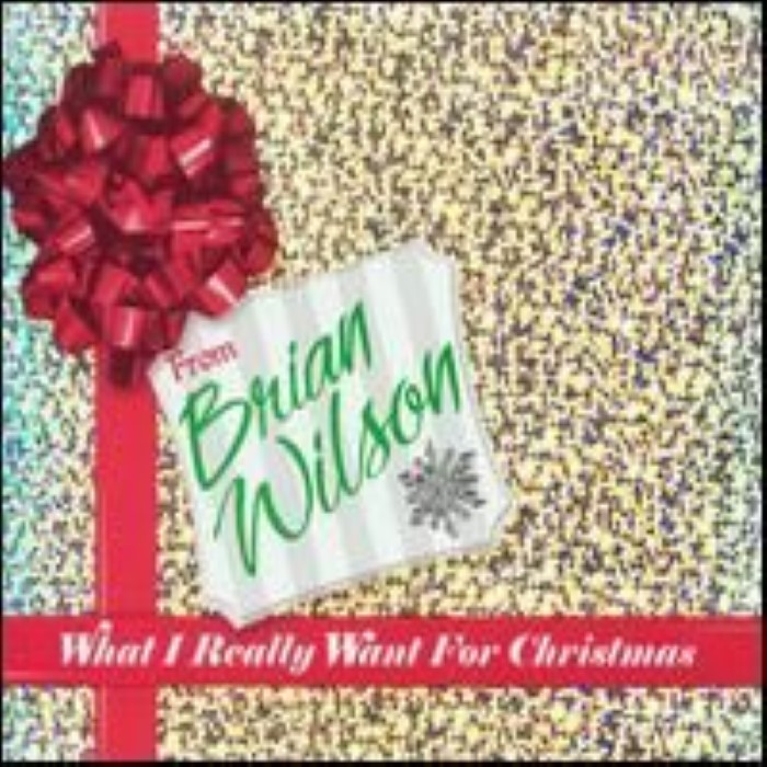 What I Really Want for Christmas