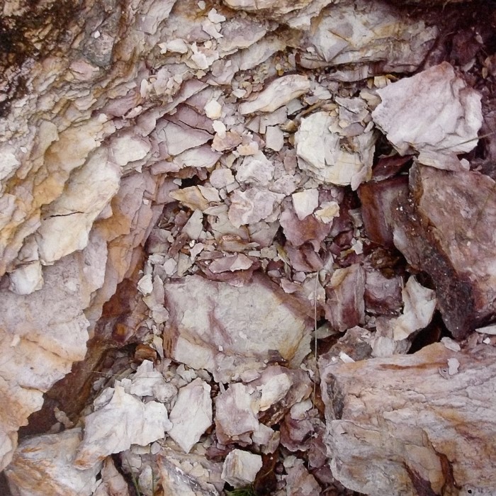 AEGEA