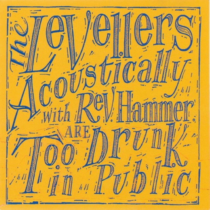 Too Drunk in Public (feat. Rev Hammer)
