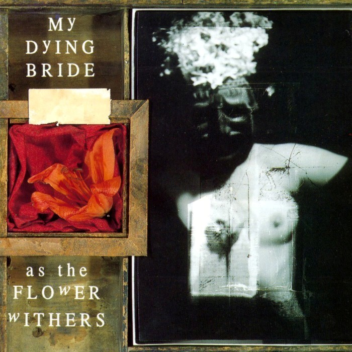 As the Flower Withers