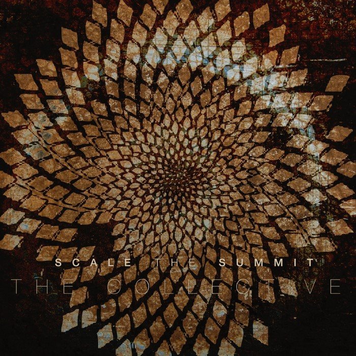 The Collective