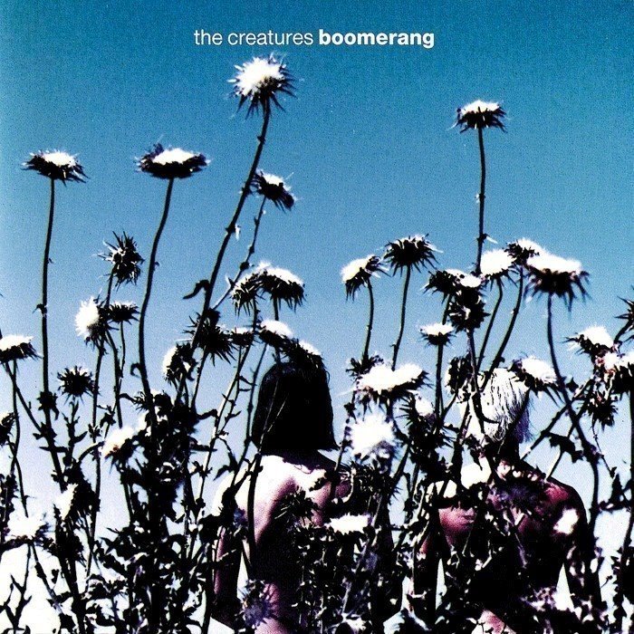 Boomerang