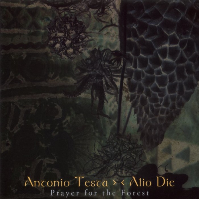 Prayer for the Forest