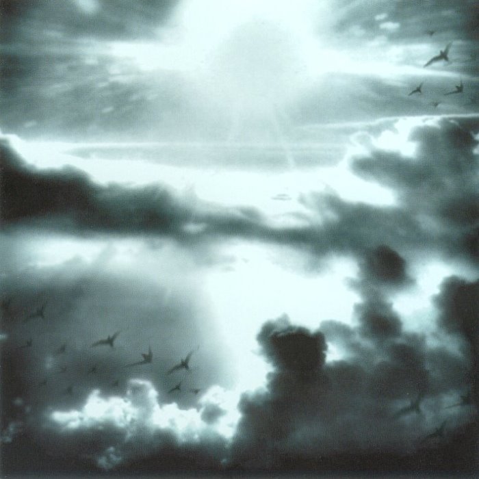 Expanding Horizon