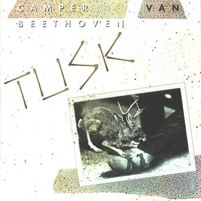 Tusk