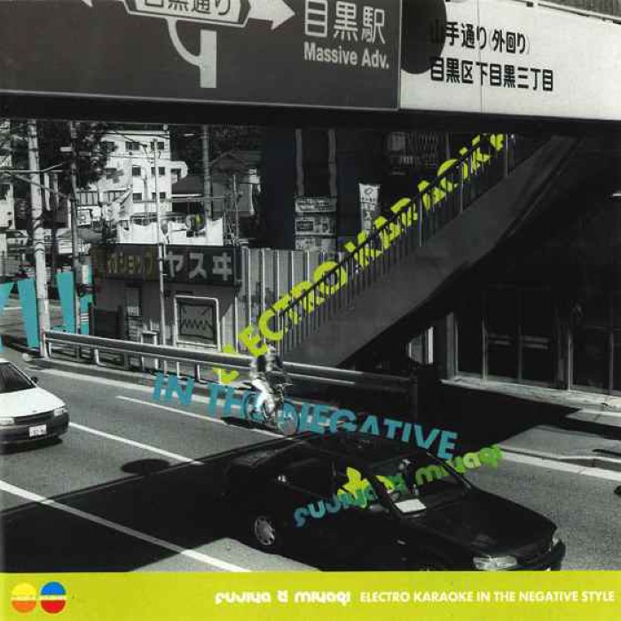 Electro Karaoke in the Negative Style