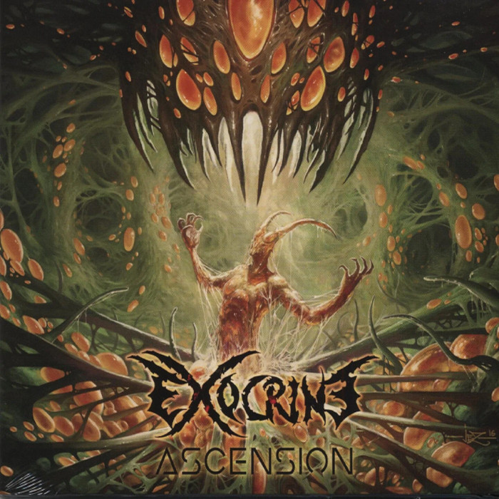 Ascension