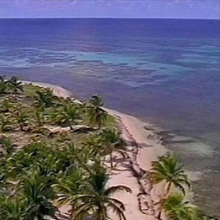 tropics