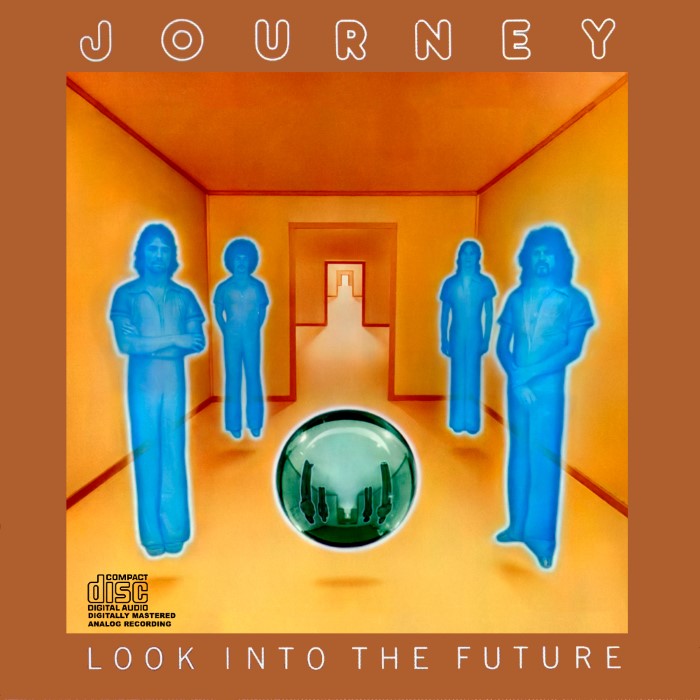 Look Into the Future