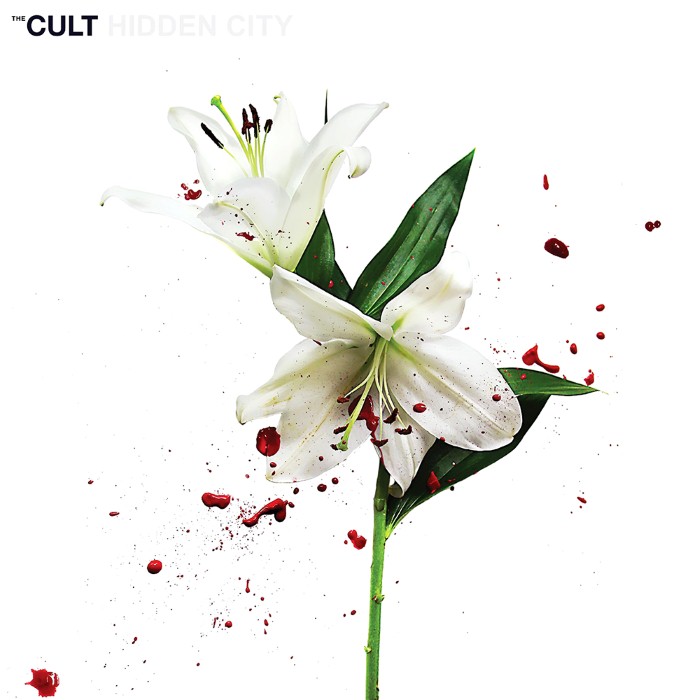 Hidden City