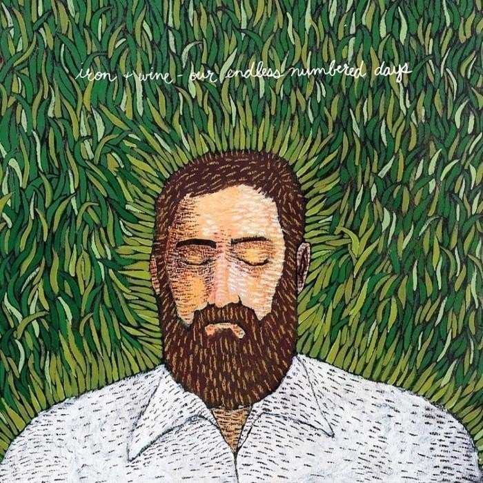 Our Endless Numbered Days by Iron & Wine