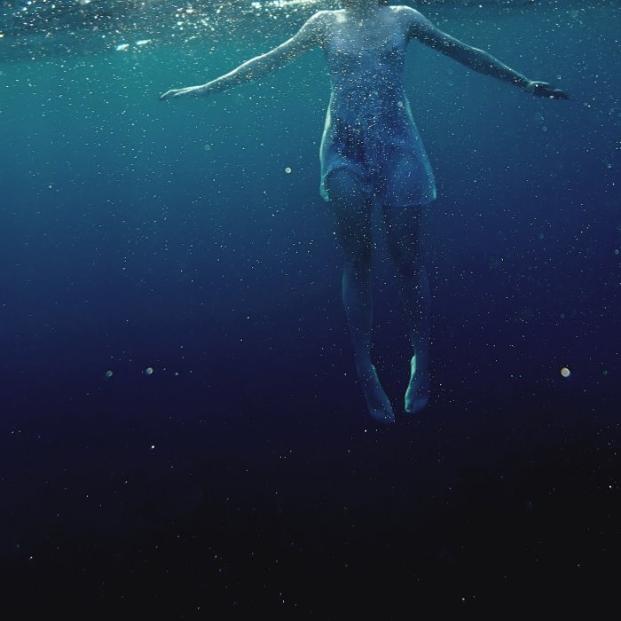 The Shark in Your Water