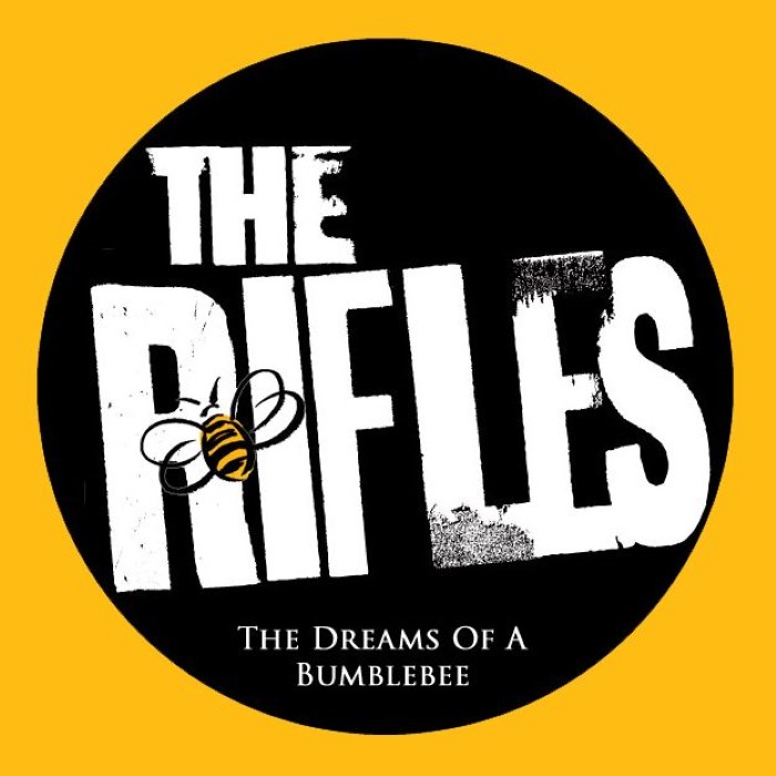 The Dreams of a Bumblebee
