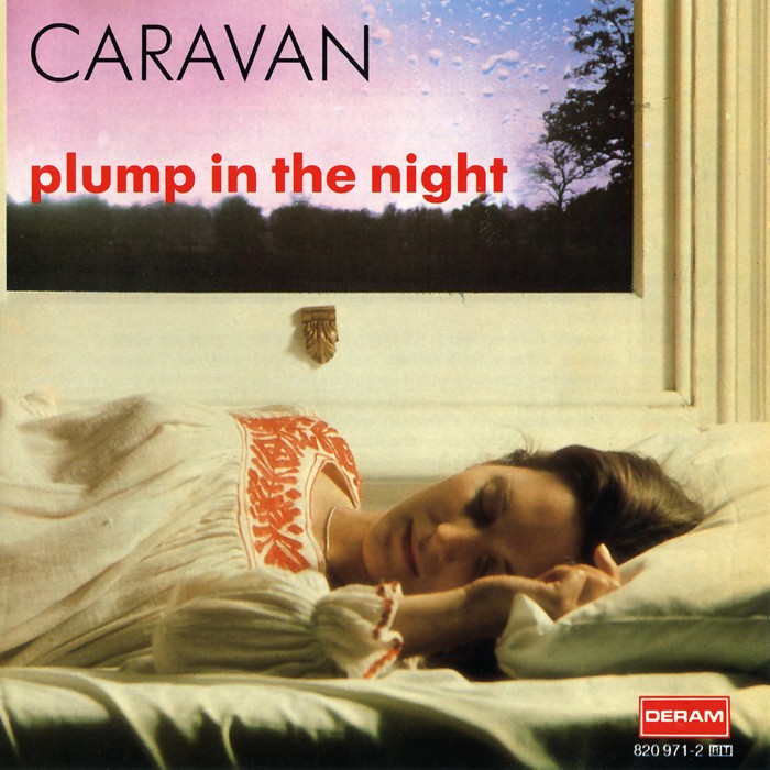 For Girls Who Grow Plump in the Night