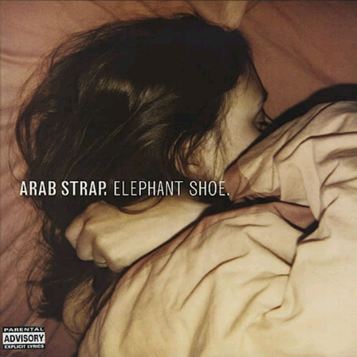 Elephant Shoe